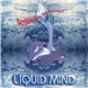 Liquid Mind - Ambience Minimus